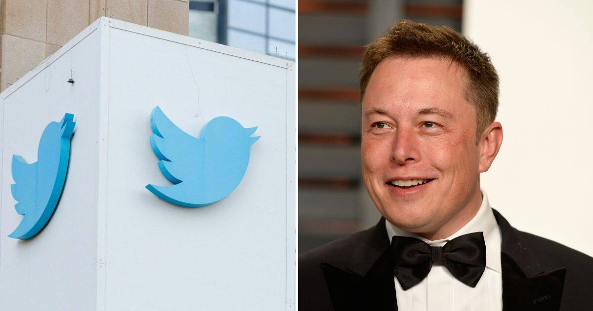 Elon Musk Named Sole Director Of Twitter Board After Firing Members