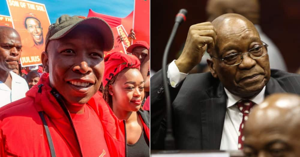 Julius Malema, Pray For South Africa, Jacob Zuma