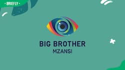 Big Brother Mzansi season 4: Auditions, requirements, winnings