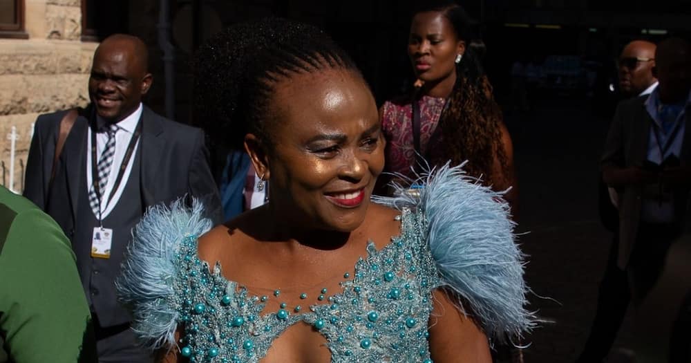 public protector, Busisiwe Mkhwebane, case postponed, 29 September