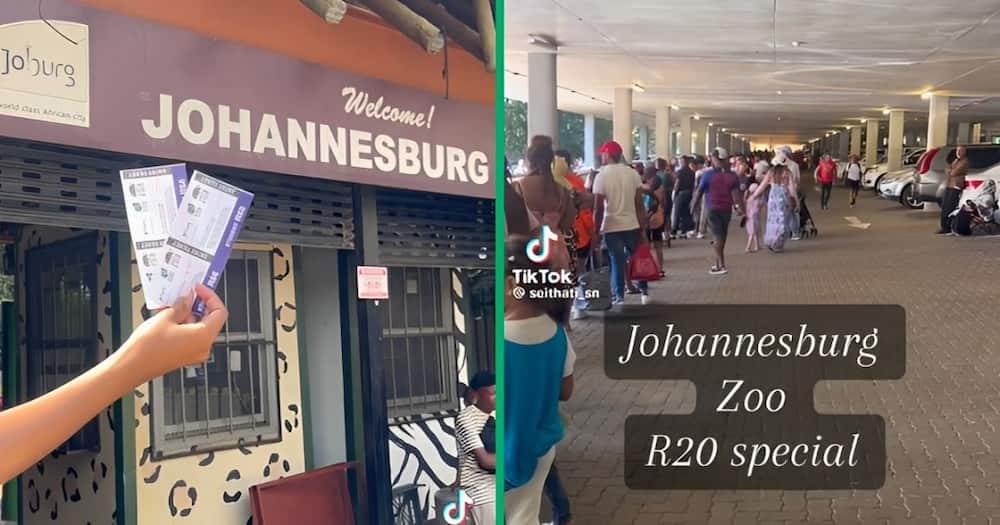 Johannesburg residents flocked to the local zoo because of the cheap special