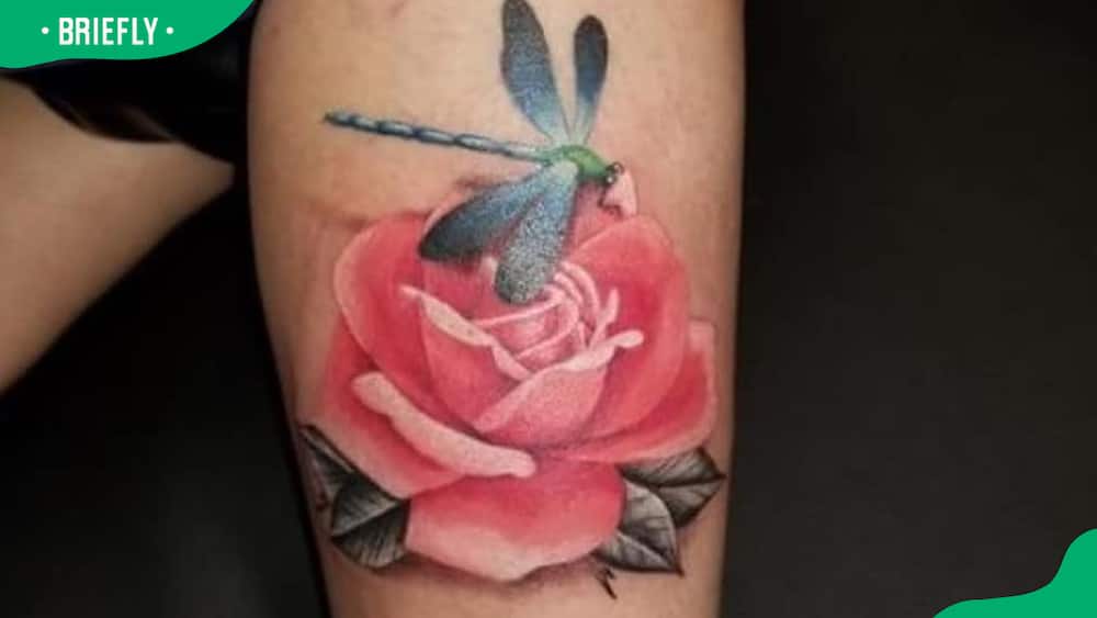 rose dragonfly tattoo