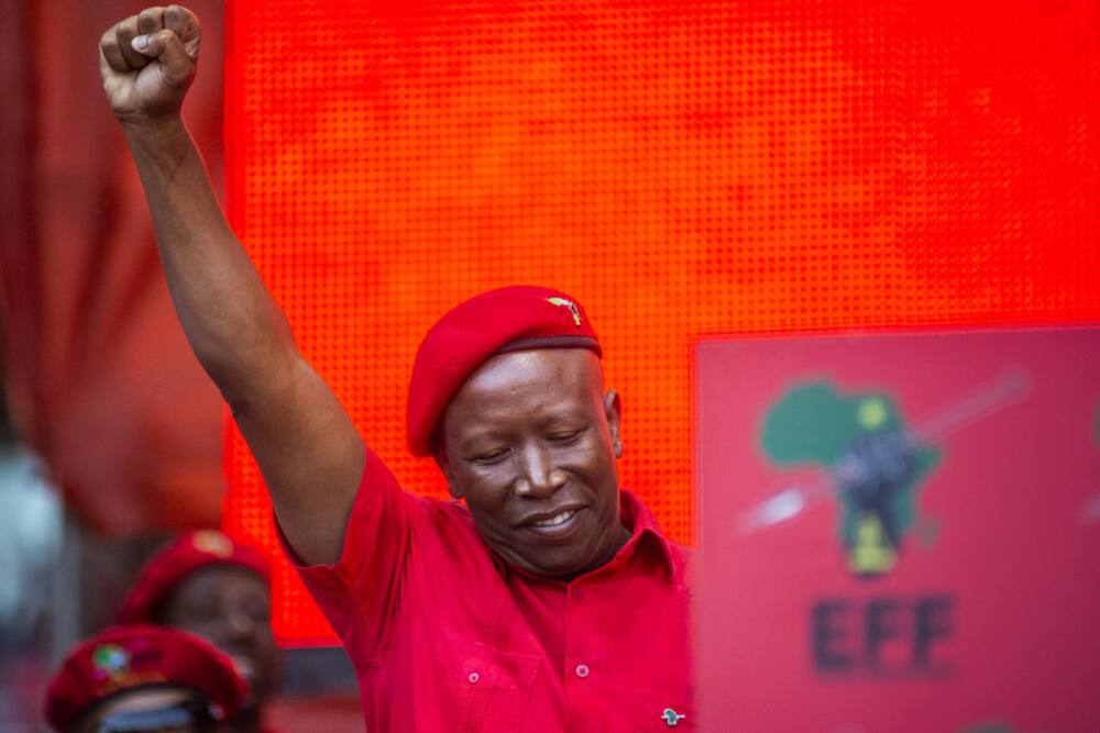 EFF leader Julius Malema, local government elects, manifesto, coalition government, municipalities, districts, metropolitans