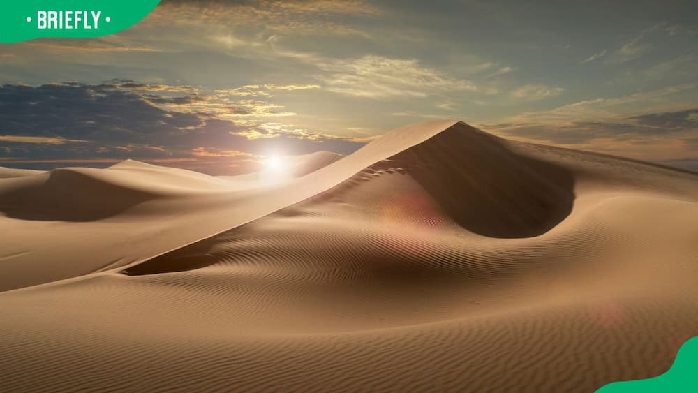 A view of the Arabian desert