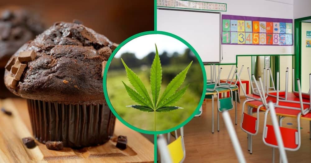 Collage image of a chocolate muffin, dagga leaf and a colourful empty classroom