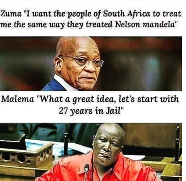 funny Zuma memes