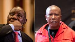 Brazil based hackers threaten to leak President Cyril Ramaphosa and Julius Malema's personal info online