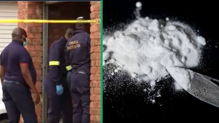 Foreign suspect arrested in R200M drug bust in Johannesburg