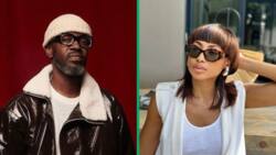 Fans react to rumours of Black Coffee and Enhle Mbali patching things up: "Nothing in the streets"