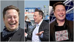 Elon Musk refuses to buy Twitter at R680 billion after reports say 20% of users are fake