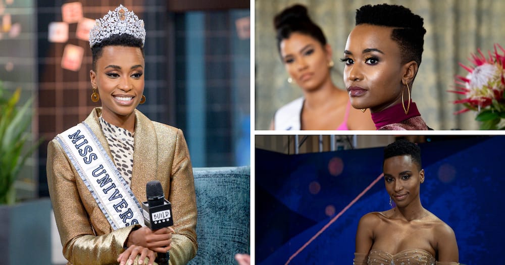 Zozibini Tunzi went on to win Miss Universe 2019 after being crowned Miss SA