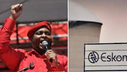EFF unsatisfied with loadshedding meeting with Ramaphosa, claims doesn’t look like blackouts will end soon