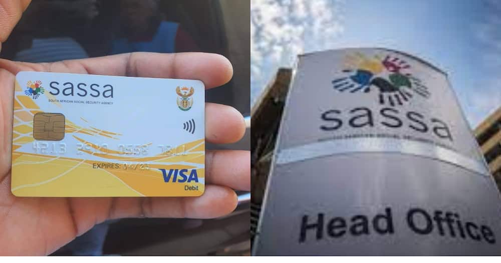 Sassa, social relief grant, applicants