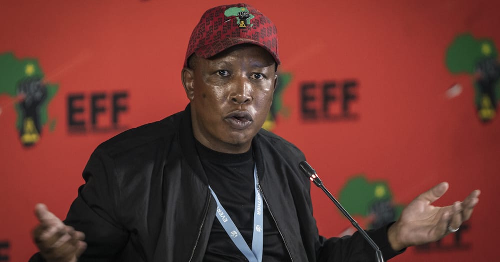 Department of Labour, Calls out Julius Malema, restaurant raids, Midrand, Mall of Africa, foreign nationals, employment ratios