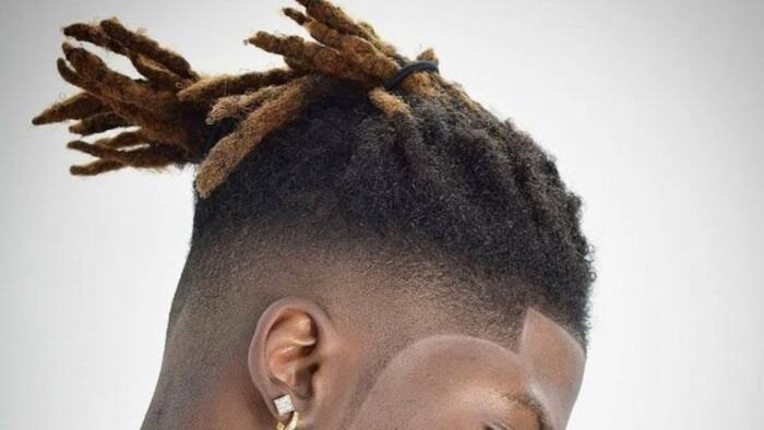 Top 20 best high top dreads haircut ideas for men in 2022