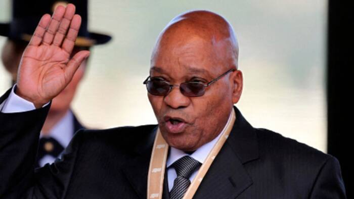 Jacob Zuma hints at presidential bid with MK party, SA in disbelief