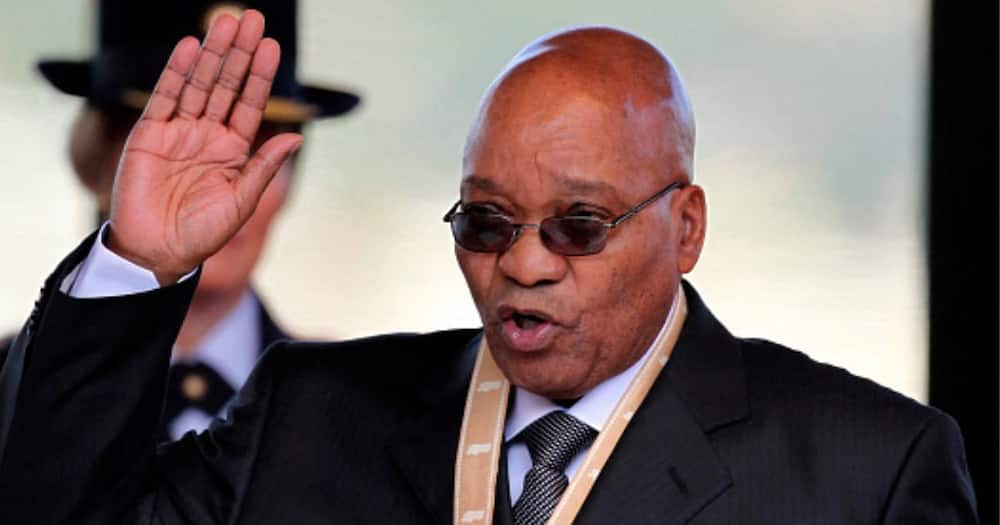 Jaco Zuma announced he wants to be president on SA again