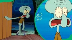 Squidward Tentacles: All about SpongeBob's neighbour