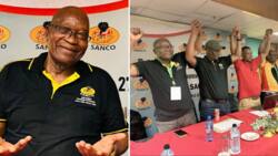Jacob Zuma allegedly elected as Sanco KZN chairperson, real organisation rubbishes “fake” conference