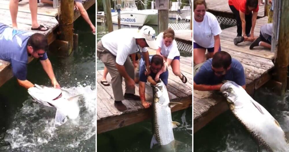 Seeing a man get his arm snatched by a giant fish left some people with a lot of questions