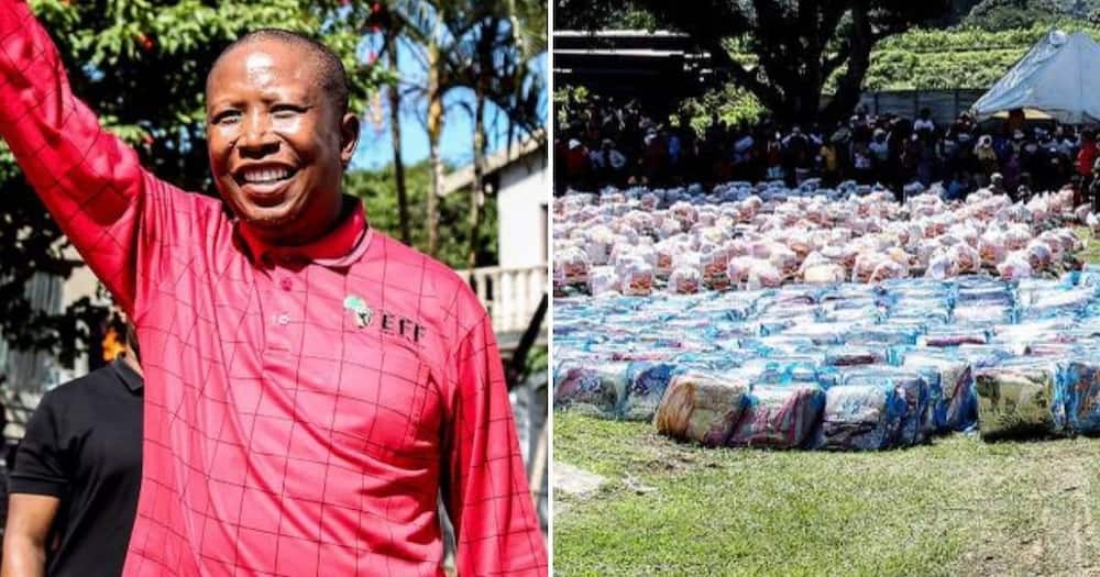 KZN floods, Julius Malema, government, provide land, EFF, land without compensation