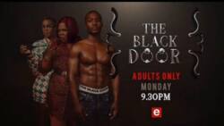 eTV The Black Door: cast, plot summary, full story, episodes, theme songs