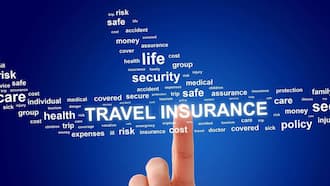 global travel insurance fnb