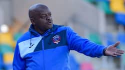 Dan Malesela could be returning to coaching, Marumo Gallants interested