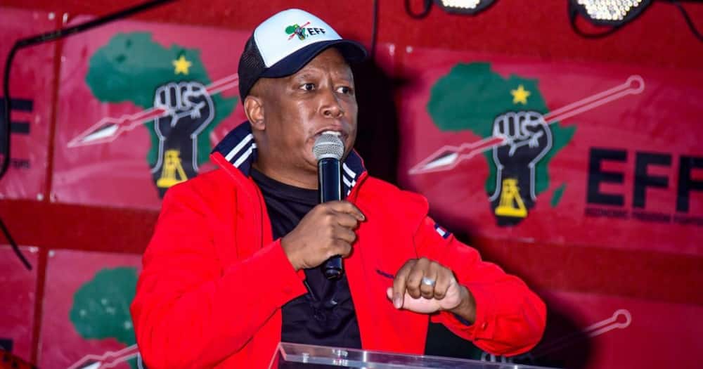 EFF leader Julius Malema address the youth on 16 June in KwaZulu-Natal
