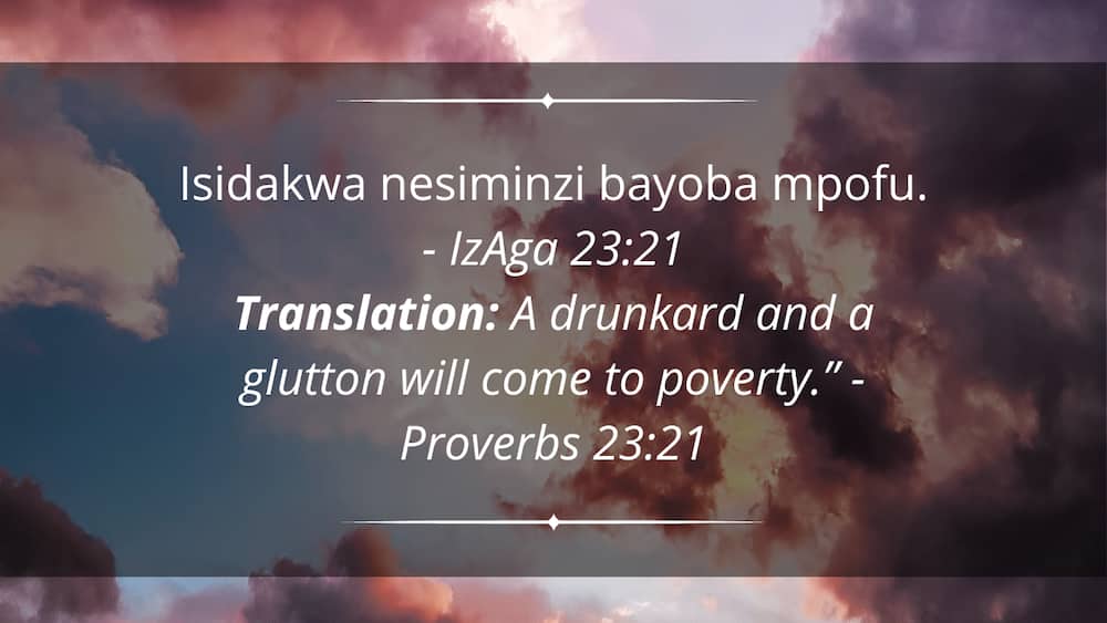 proverbs in zulu bible