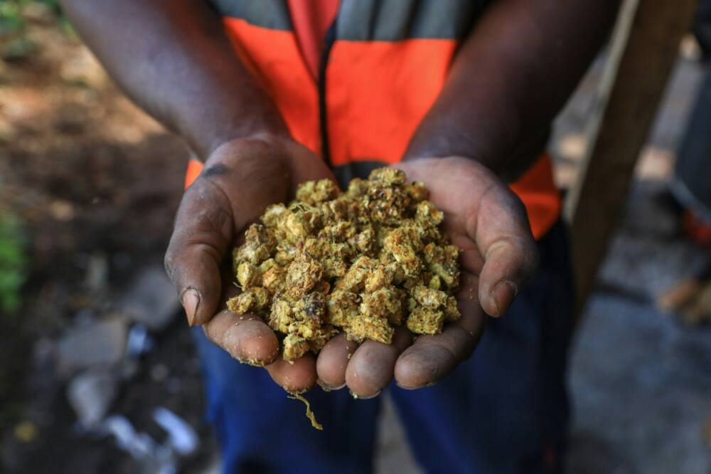 Once the substrate mixture is ready, it is sterilised, put in barrels and heated over a wood fire, then cooled and bagged up Once the substrate mixture is ready, it is sterilised, put in barrels and heated over a wood fire, then cooled and bagged up