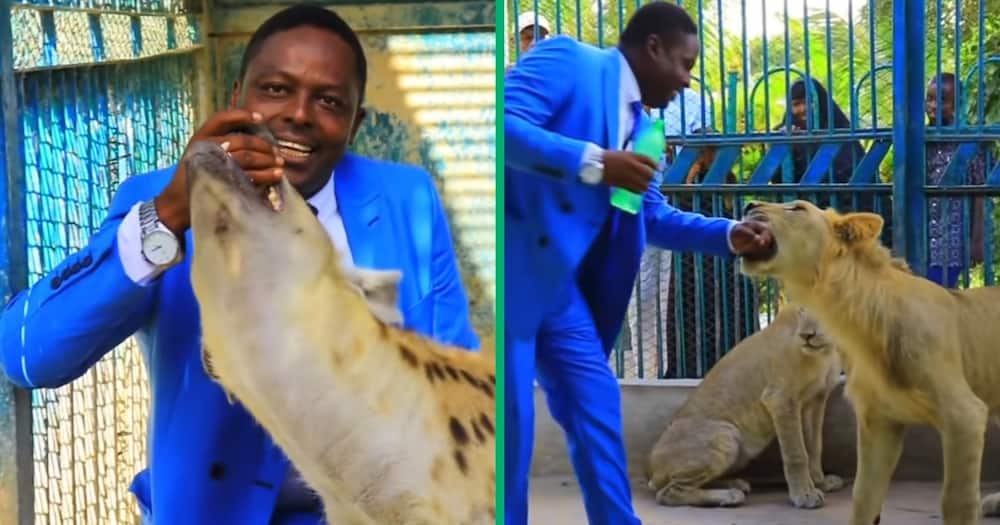 Pastor with a hyena and lion