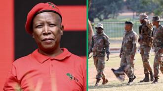 EFF’s Julius Malema demands SANDF be recalled from Eastern DRC