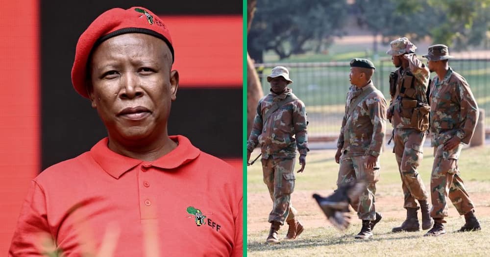 Julius Malema believe the SANDF must recall its troops from the DRC