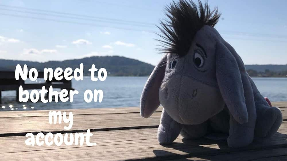 eeyore quotes about friendship