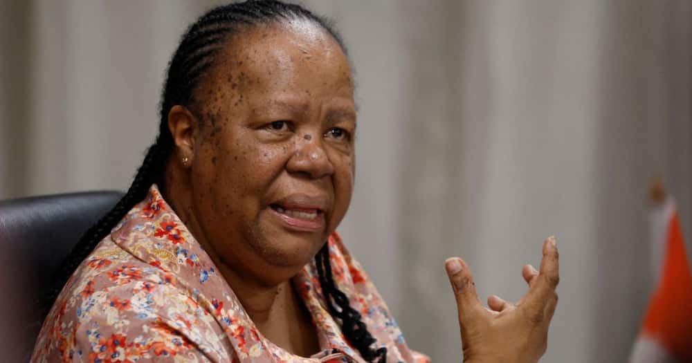 Minister of International Relations and Cooperation Naledi Pandor said the ANC is advocating for peace in Gaza