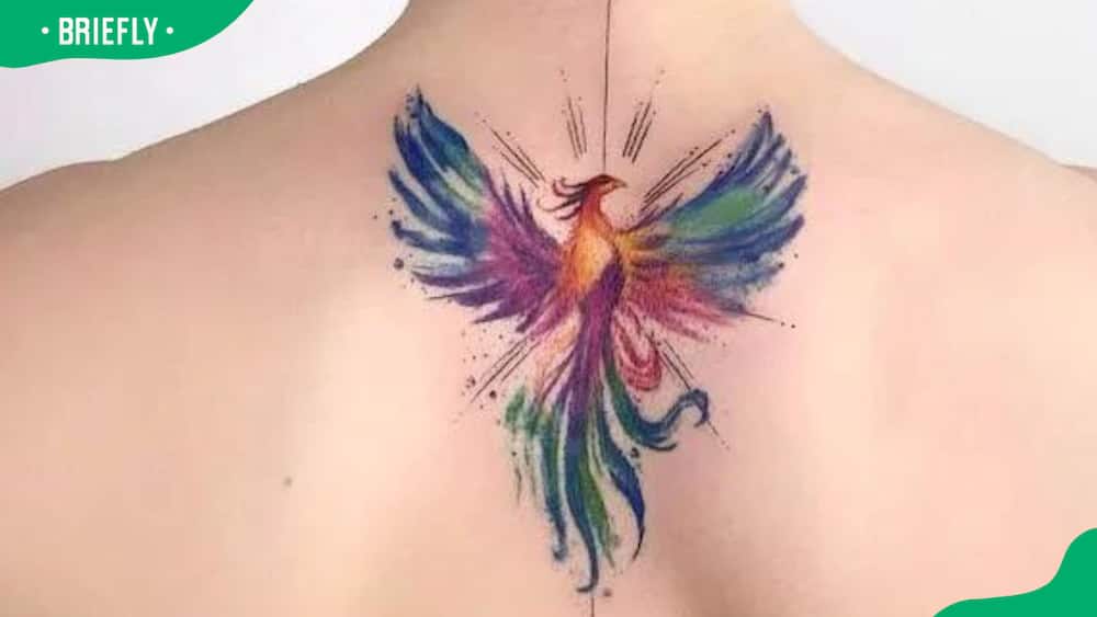 Radiating phoenix tattoo