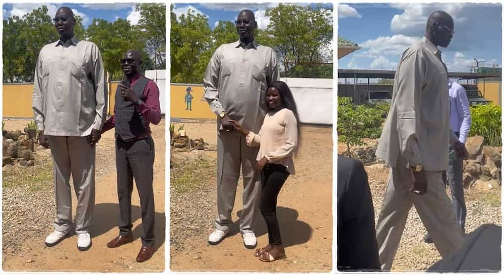 Tall Man Appears in Public, People Surround Him Like Celebrity in Viral ...