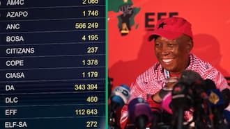 EFF President Julius Malema open to coalition with ANC