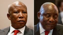 Malema slams Ramaphosa's presidency at SONA 2022 debate, SA facing too many challenges