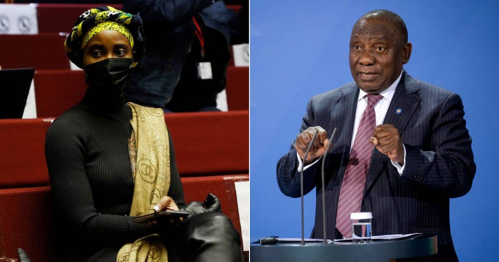 Duduzile Zuma, Cyril Ramaphosa, Shade, Social media reactions
