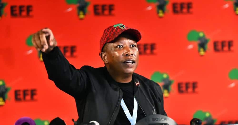 EFF, Land Expropriation without Compensations, LG2021, Politics