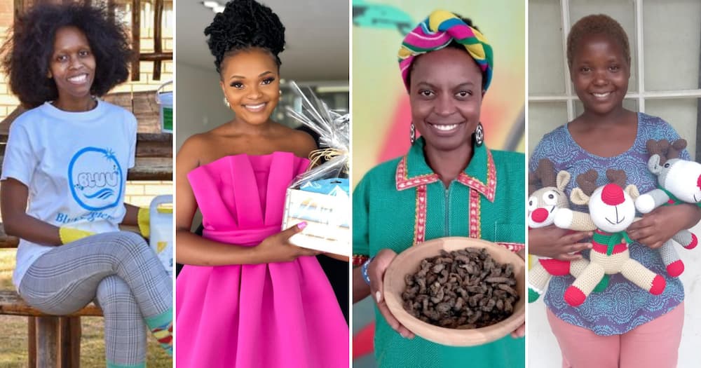 African businesswomen who produce detergents, make mopane worm chocolates, run adventure companies, and make woollen toys