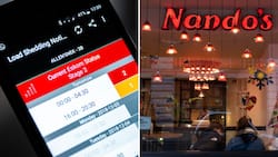 Nando’s, Steers and other chains feeling the pinch of loadshedding, leaving Mzansi concerned