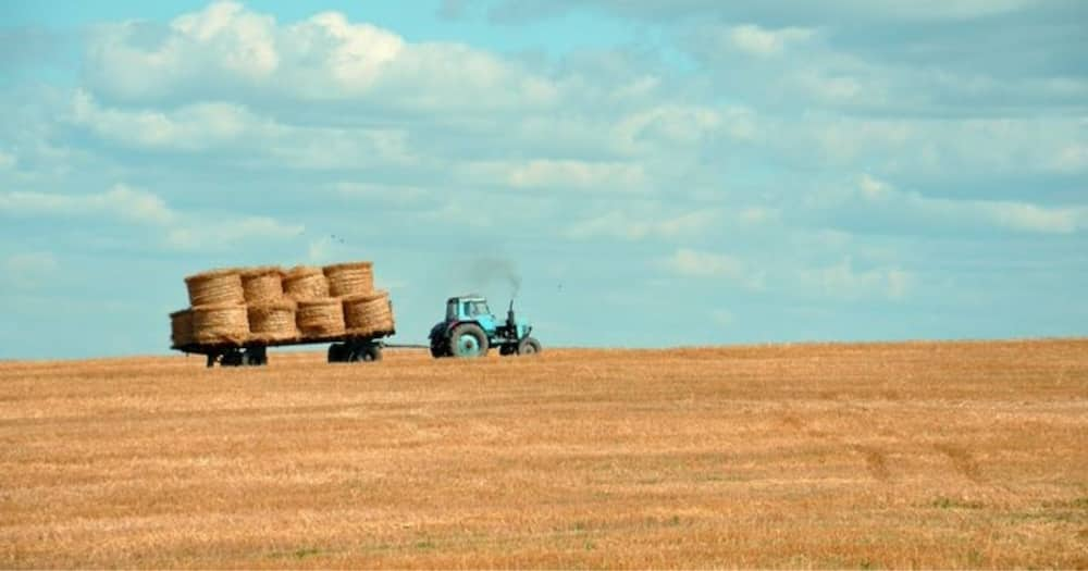 US, Farm Sued, Hiring White, SA and Pays, More, Locals