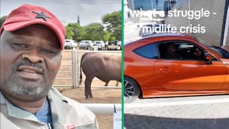 Man's hilarious struggle to exit sports car goes viral, Mzansi suggests he gets a bigger vehicle