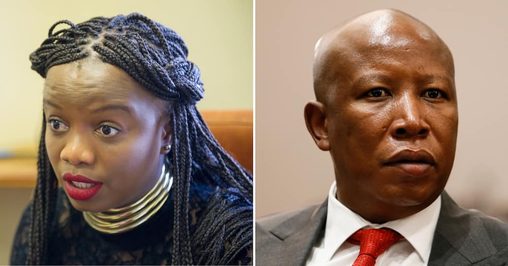 Phumzile Van Damme, Julius Malema, AfriForum, EFF, 'kill the boer' trial