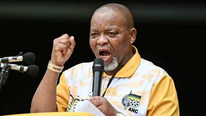 Mantashe optimistic about ANC's election prospects in KwaZulu-Natal
