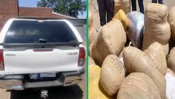 Middleburg flying squad busts 2 foreign nationals transporting R3 million worth of dagga to Joburg