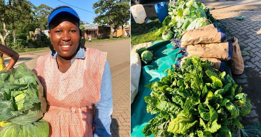 Selling Veggies, Gogo, Graduation Outfit, Mzansi, South Africa